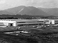 2011-2020